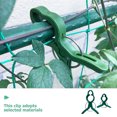 thumbnail image 3 of unbranded 50Ud Clips De Sujeción Para Plantas Y Con Flexible Y Duradero, 3 of 6