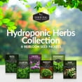 thumbnail image 5 of 5 Packs Hydroponic Herb Seed - Sage, Peppermint, Parsley, Chives, Cilantro, Basil - Full Sun Annual & More, 5 of 7