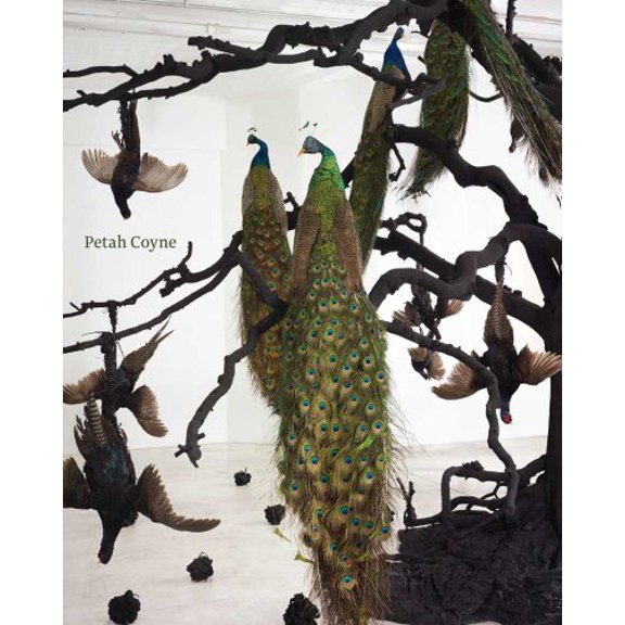 Pre-Owned Petah Coyne: Everything That Rises Must Converge, 9780300167702, 0300167709, Paperback, Illustrated edition