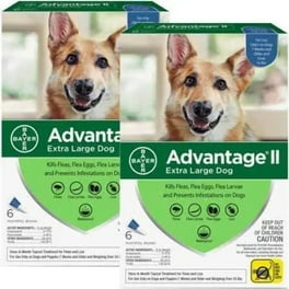 Advantage II Vet Recommended Flea Prevention for XL Dogs 55 lbs 6 Monthly Treatments Walmart