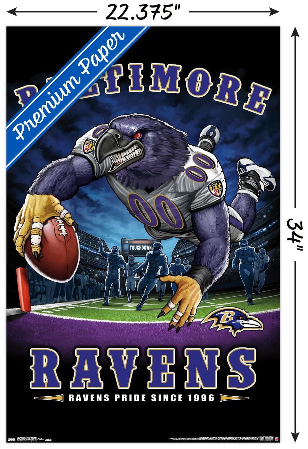 NFL Baltimore Ravens - End Zone 17 Wall Poster, 14.725" x 22.375"