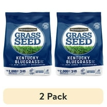 (2 pack) Pennington Kentucky Bluegrass Northern Grass Seed Mix, Sun Light to Partial Shade , 3 lb.