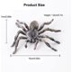 thumbnail image 2 of 4 piezas de figuras de araña realistas, modelos de acción de araña gigante, animales de plástico, juguetes de araña falsos, juguetes educativos de aprendizaje, regalo de cumpleaños, día de los in, 2 of 5