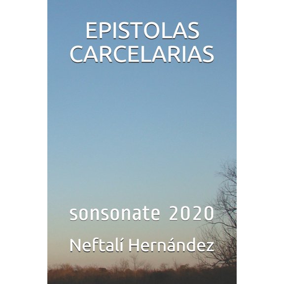 Epistolas Carcelarias : sonsonate 2020 (Paperback)