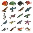 thumbnail image 4 of Realistic Static Ocean Animal Model Sea Animal Toy Kids Gift Latimeria, 4 of 9
