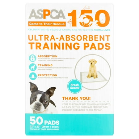 Absorbent Training Pads For Large Dogs Absorbent Training Pads For Large Dogs