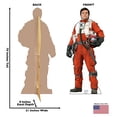 thumbnail image 5 of Poe (Star Wars VII: The Force Awakens), 5 of 5