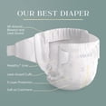 thumbnail image 2 of Pañales Pampers Amore, talla 7 (12-23 kg), 60 unidades, hipoalergénicos, 2 of 9