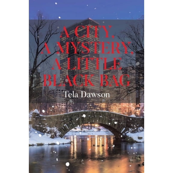 A City, a Mystery, a Little Black Bag, (Paperback)