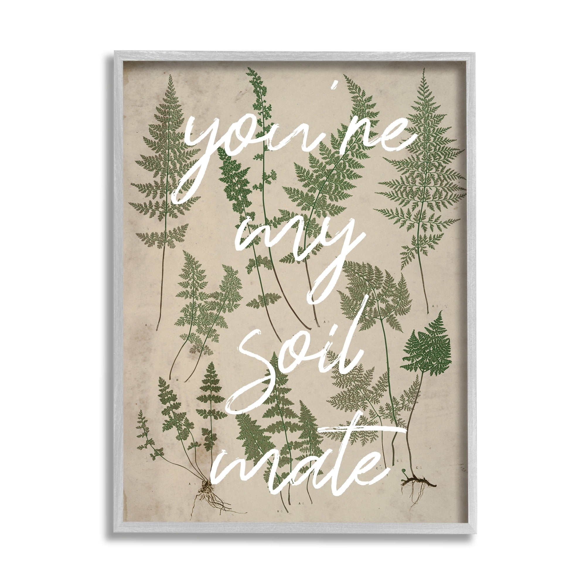 Stupell Industries You're My Soil Mate Rustic Fern Motif Calligraphy Framed Wall Art, 24 x 30, Design by Lil' Rue