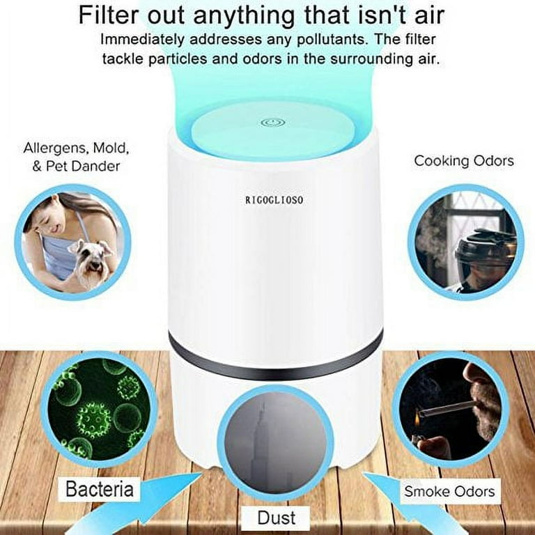 RIGOGLIOSO Air Purifier for Home with True HEPA Filters Low Noise