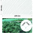 thumbnail image 4 of Trianu Bird Netting for Garden Protecting Vegetable Plants and Fruit Trees, Plastic Trellis Netting for Birds, Deer, Squirrels and Other Animals, 13ft x 20ft, Green, 4 of 7
