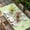 Green, variant on Happy Easter Table Cloths for 4 Foot Rectangle Tables, Cute Gnomes Eggs Spring Daisy Flowers Yellow Patio Waterproof Elastic Fitted Tablecloths, Washable Rectangular Table Cover for Camping