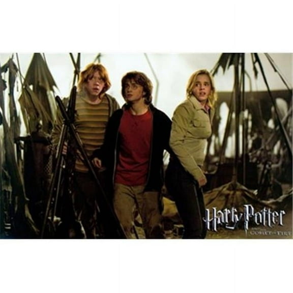 Posterazzi MOV356587 Harry Potter & the Goblet of Fire Movie Poster - 17 x 11 in.
