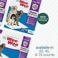 thumbnail image 3 of Four Paws Products Ltd - Tapis Super Cataire & Sisal Griffoir, 3 of 9