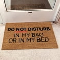 thumbnail image 2 of Spring Doormat Decorative Indoor Front Door Floor Mat Entry Rug Outdoor Boot Scraper Non Slip Backing for Kitchen mats, Front Back Doors, Pets and Dogs, Home Indoor Outdoor Decorations, 2 of 4