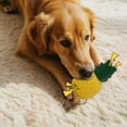 thumbnail image 4 of REK Caoutchouc Naturel Durable Qui Couine pour Jeu Interactif de Dentition Chiot Entraînement, 4 of 5