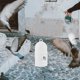 thumbnail image 4 of Nestingho 2Ud Bebedero Para Pájaros Con Estable Y Accesorio Para Casa, 4 of 8