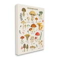 thumbnail image 3 of Stupell Industries Foraging Mushrooms Studies Botanical & Floral Painting Gallery Wrapped Canvas Print Wall Art, 30 x 40, 3 of 7