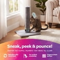 thumbnail image 5 of SmartyKat Playful Post Carpet Cat Scratching Post with Track Toy Base for Indoor Cats & Kittens, Features Integrated Hidden Ball Base for Stimulation, 5 of 7