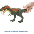 thumbnail image 5 of ​Jurassic World Camp Cretaceous Massive Biters Albertosaurus Dinosaur Action Figure, Toy Gift with Strike and Chomping Motion​​, 5 of 7