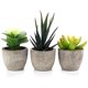 thumbnail image 3 of 3pcs Faux Succulent Bonsai Cactus Plant Pot Flower Pot Container Plant Bonsai Artificial Simulation Plants with Pots, 3 of 4