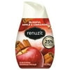 6Pc Adjustables Air Freshener, Blissful Apples and Cinnamon, 7 oz ConeD6，DIA03674EA