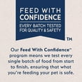thumbnail image 4 of Natural Balance Pet Foods Limited Ingredient Plant Powered Vegan-Friendly Dry Dog Food, 4 lb, 4 of 9