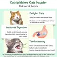 thumbnail image 3 of 3 Balles d'Herbe à Chat Silvervine, Jouets Comestibles pour Chats, 3 of 3