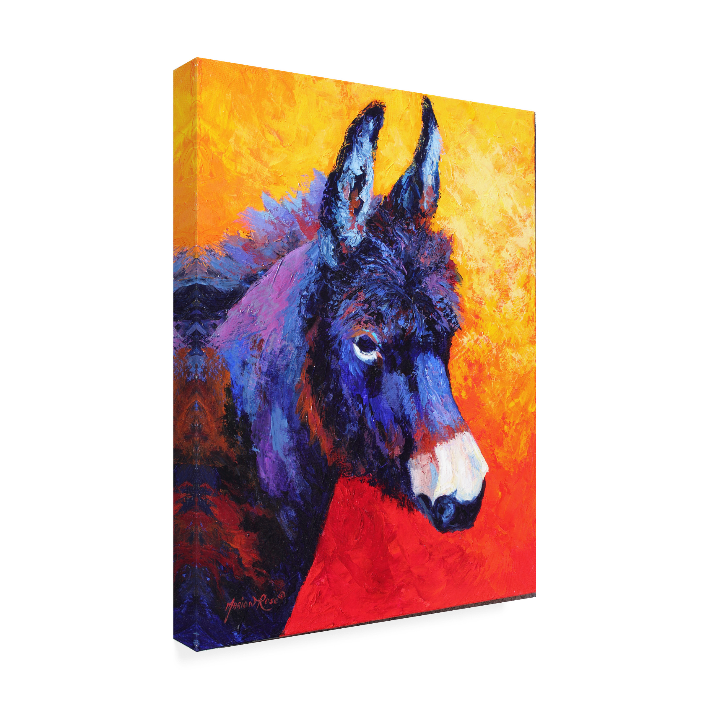Marion Rose 'Donkey IVX' Canvas Art