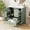 Light Green, variant on ChenyueFurn Bathroom Vanity 30 Inch Single Bowl Sink Soft Close Door Three Drawers Space-Saving Storage Black