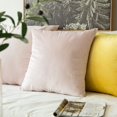 thumbnail image 5 of Juego de 2 Fundas de Cojines de Terciopelo Fundas de Almohada Decorativas para Sofá Súper Suave Decoración Cómoda Hogar Sala de Estar Dormitorio para Sofá 40X40CM Rosa JM funda de almohada, 5 of 5