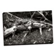thumbnail image 2 of Gango Home Decor Fallen Cypress II by Alan Hausenflock (Ready to Hang); One 36x24in Hand-Stretched Canvas, 2 of 4