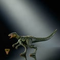 thumbnail image 5 of Jurassic World Hammond Collection Hypsilophodon Dinosaur Figure, Deluxe Design and Articulation, 5 of 6