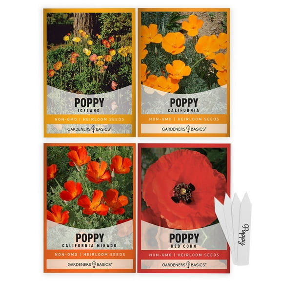Poppy Seed Assortment for Planting | 4 Vibrant Varieties