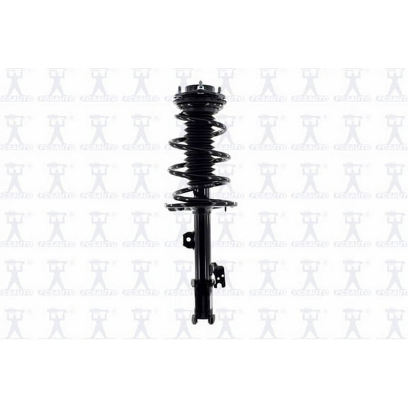 Suspension Strut and Coil Spring Assembly