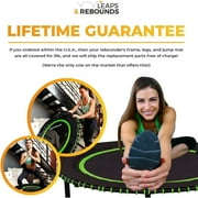 LEAPS & REBOUNDS 48 Mini Fitness Trampoline & Rebounder for Adults, Red