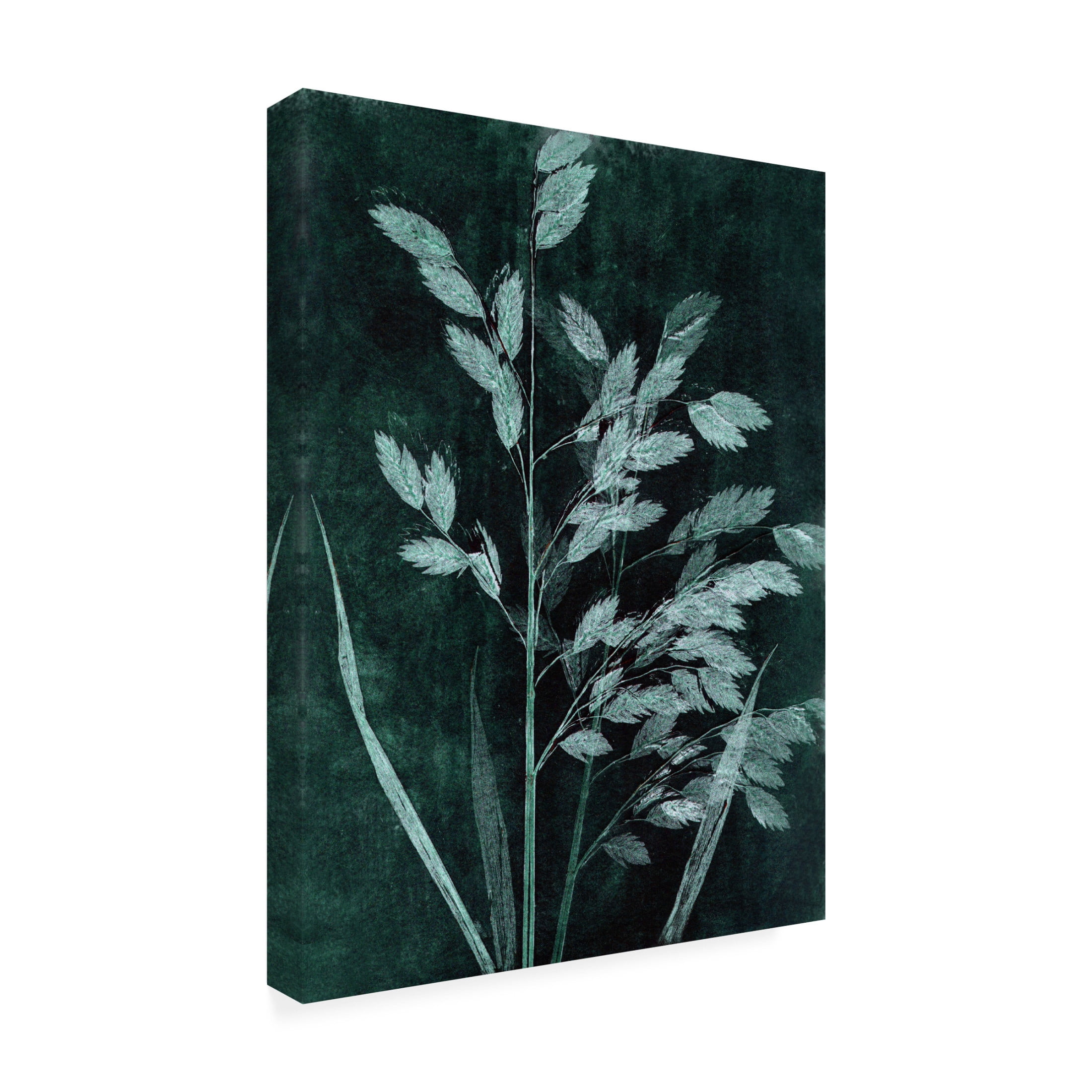Canvas Wall Art - Pernille Folcarelli 'Grass Petrol' Wall Art for Living Room, Bedroom, or Office Décor by Trademark Fine Art - 35 x 47 Inches