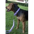 thumbnail image 2 of LAICAIW Country Brook Petz-Lavender Martingale Heavyduty Nylon Dog Collar-21 Vibrant Color Options (1 Inch Width, Extra Large), 2 of 7