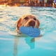 thumbnail image 4 of Fiudx Ofertas relámpago El juguete interactivo para masticar mascotas para perros y gatos fomenta el juego y el cuidado bucal con un diseño robusto adecuado para uso en interiores, 4 of 6
