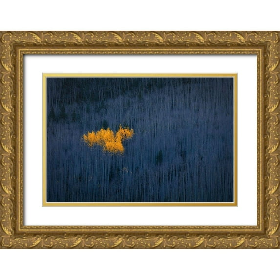 Zheng, Michael 32x23 Gold Ornate Wood Framed with Double Matting Museum Art Print Titled - Heart of Aspens