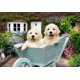 thumbnail image 2 of Rompecabezas Ravensburger Feel Well Golden Retriever de 200 Piezas, 2 of 8