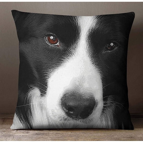 S4Sassy Black & White Border Collie Dog Face Digital Print Pillow Square Cushion Cover -14 x 14 Inches