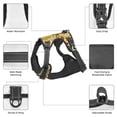 thumbnail image 6 of Lsque Fruits And Vegetables Dog Harness, No-Pull Pet Harness with 2 Leash Clips, Adjustable Soft Padded Dog Vest with Easy Control Handle for Large Dogs-Large, 6 of 9