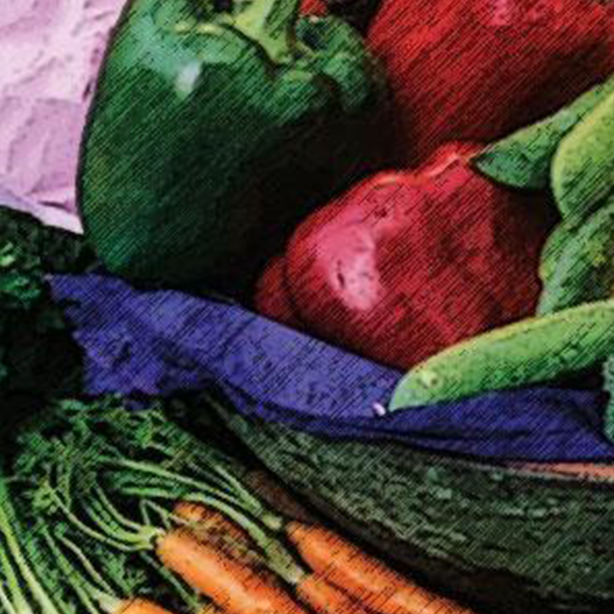 15-Pack Non-GMO Market Garden Heirloom Seed Collection - Homestead Tomato, Straightneck Squash, Contender Bush Bean, Danvers 126 Carrot, Bloomsdale Spinach, Summer Bibb Lettuce, Bell Pepper, Zucchini