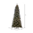 thumbnail image 3 of Vickerman 10' x 54" Frosted Douglas Fir Artificial Pre-Lit Christmas Tree, Warm White 3mm LED Lights., 3 of 5
