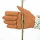 thumbnail image 2 of Leather Gardening Gloves with Forearm Protection, Brown Zefei Wu 1327537073758, 2 of 5