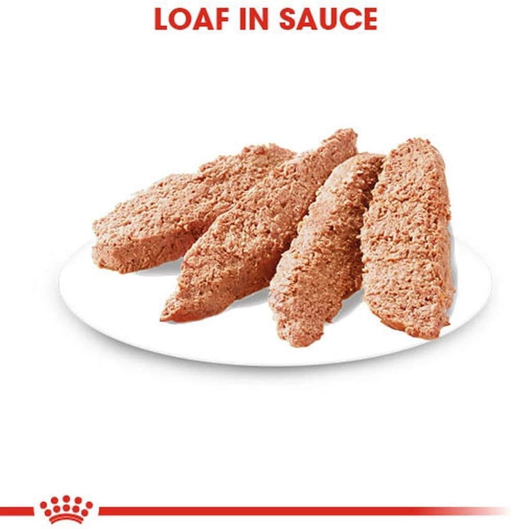 Royal Canin Dermacomfort Dog Wet Food Loaf 12x85g