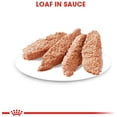 thumbnail image 2 of Royal Canin Dermacomfort Dog Wet Food Loaf 12x85g, 2 of 5