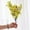 Yellow, variant on Blue Artificial Flowers, Plastic Fake Floral Stems, Realistic Home Decoration, Colorfast Waterproof Display, Indoor Office Decor, Long-Lasting Fake Blooms